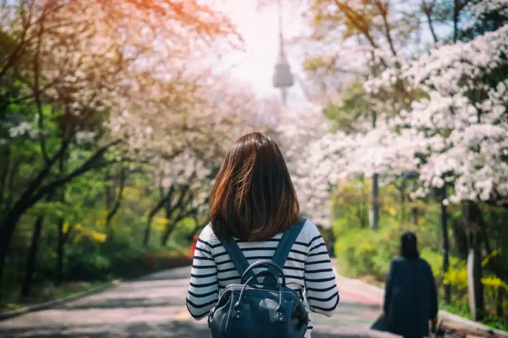U.S. Taxes in South Korea: A Guide for American Expats